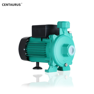 การเล่น