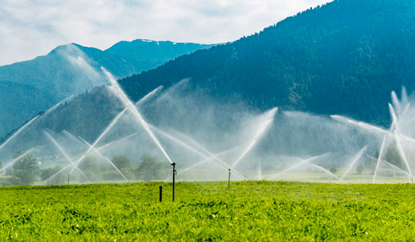 วิทยาศาสตร์และเทคโนโลยีเป็นกำลังหลักที่มีประสิทธิผล