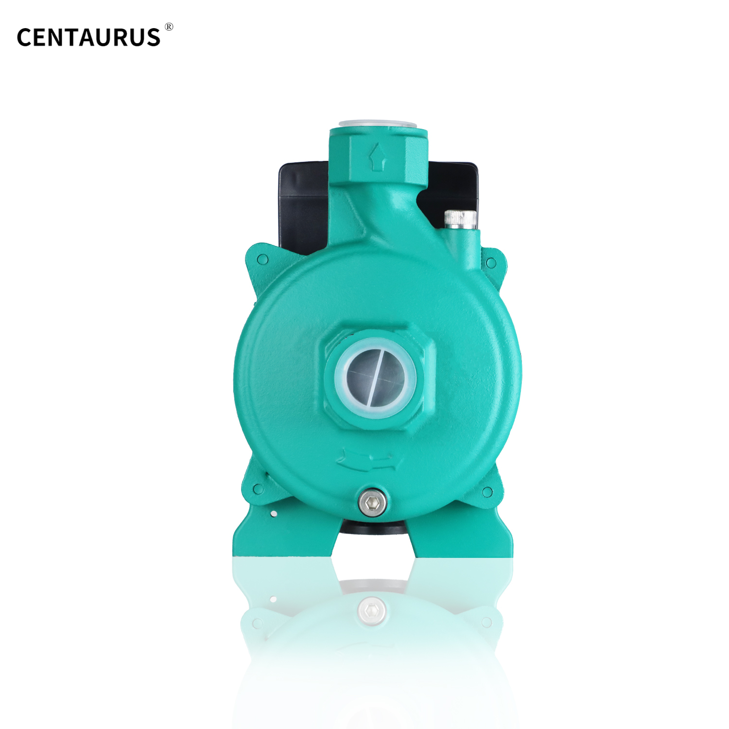 การเล่น