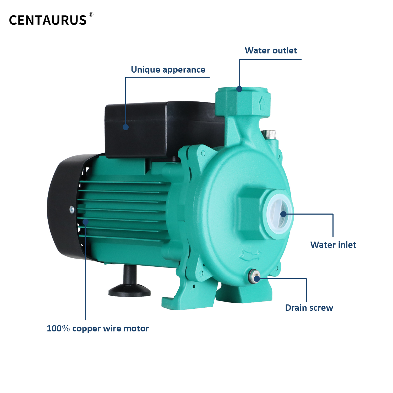 การเล่น