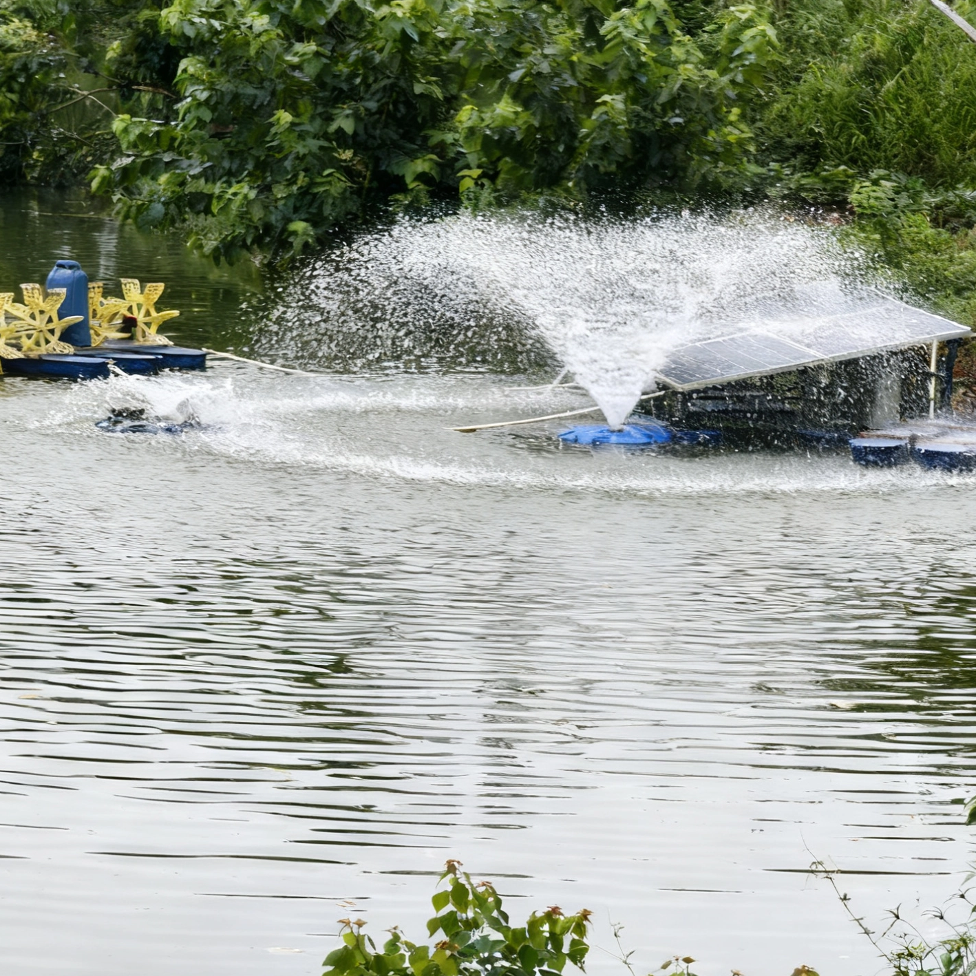 ครอบตัด_1760518501261